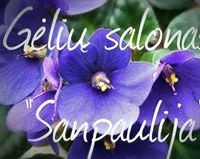 SANPAULIJA - gėlių salonas